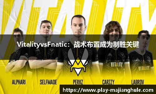 VitalityvsFnatic：战术布置成为制胜关键